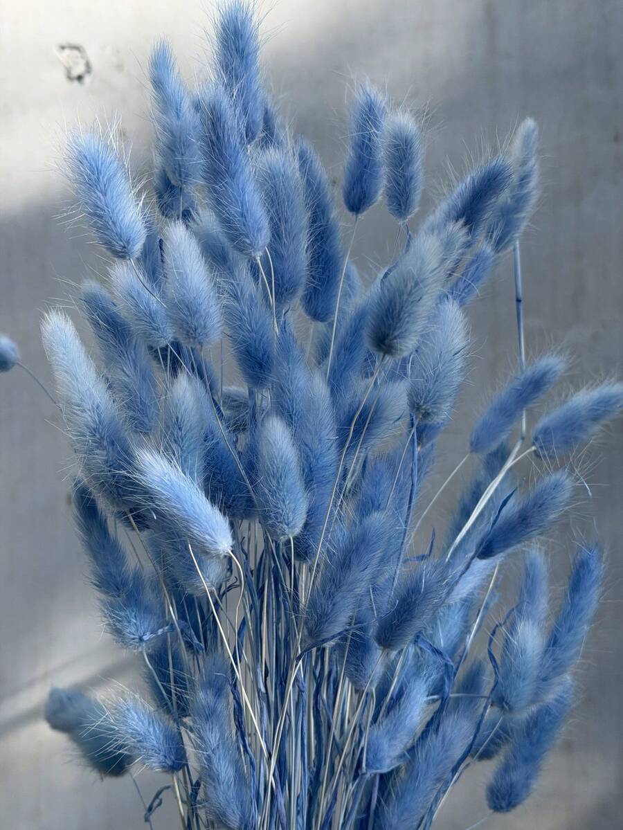 30-240支 44cm 人造仿真兔尾草，家居裝飾人造仿真兔尾草莖，適用於波希米亞風格花藝布置、DIY手工藝、居家廚房與婚禮裝飾、聖誕裝飾、感恩節裝飾、DIY花環裝飾 - 淺寶藍兔尾草 - 查看 1