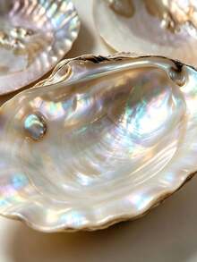 6pcs/Set Pearl Oyster Shell Jewelry Tray, Iridescent Shell Trinket Dish For Rings, Earrings, Necklaces, Home Decor Vanity Organizer - Multicolor - View 8