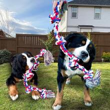 Dog Rope Toys Large XXL Rope Toys For Large Dogs Teeth Cleaning Tug Of War - UK-c282401 - View 2