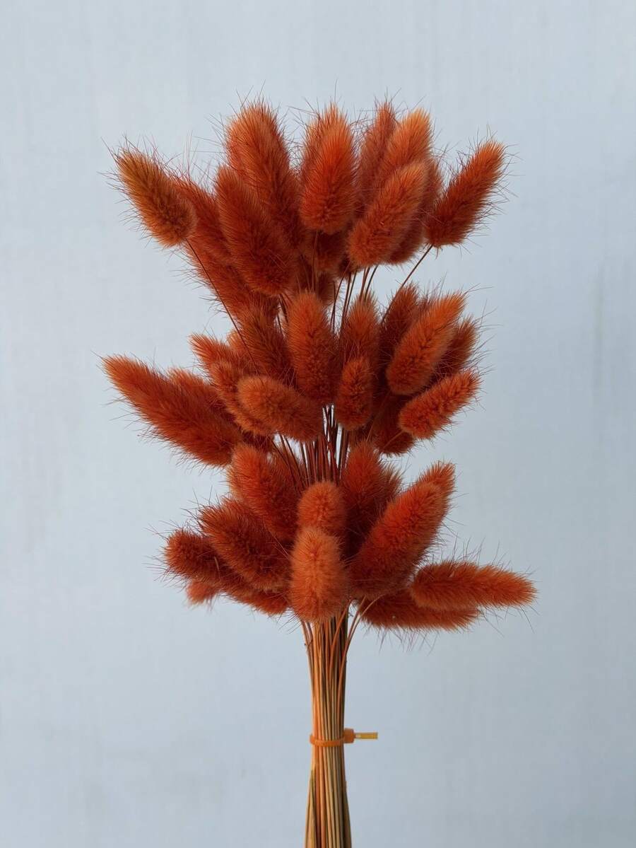 30-240pcs 44cm Artificial Rabbit Tail Grass, Home Decor Artificial Rabbit Tail Grass Stems, Suitable For Bohemian Style Floral Arrangements, DIY Crafts, Home Kitchen And Wedding Decor, Christmas Decor, Thanksgiving Decor, DIY Wreath Decor - Burnt Orange Rabbit Tail - View 1