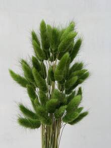 30-240 pcs Rumput Ekor Kelinci Tiruan 44 cm, Dekorasi Rumah, Batang Rumput Ekor Kelinci Tiruan, Cocok untuk Rangkaian Bunga Gaya Bohemian, Kerajinan DIY, Dekorasi Rumah Dapur dan Pernikahan, Dekorasi Natal, Dekorasi Thanksgiving, Dekorasi Karangan Bunga DIY - Rumput ekor kelinci hijau - View 5