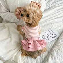 1 pieza Conjunto de falda de cuero de lujo hecha a mano para mascotas Camisa a rayas Ropa para mascotas Camiseta de perro y gato Falda de cuero Falda mini Múltiples colores disponibles - Adecuado para Maltés, Bichón, Yorkshire, Chihuahua y otras mascotas pequeñas a medianas - Amarillo - Ver 2