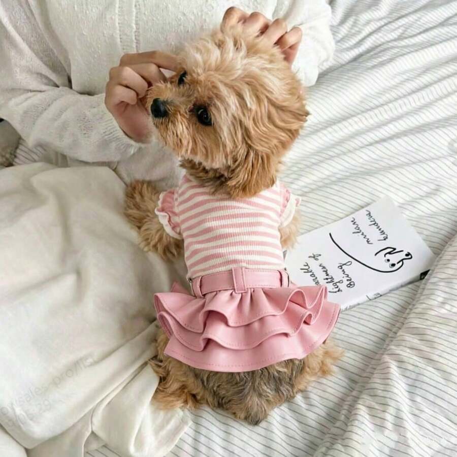1 pieza Conjunto de falda de cuero de lujo hecha a mano para mascotas Camisa a rayas Ropa para mascotas Camiseta de perro y gato Falda de cuero Falda mini Múltiples colores disponibles - Adecuado para Maltés, Bichón, Yorkshire, Chihuahua y otras mascotas pequeñas a medianas