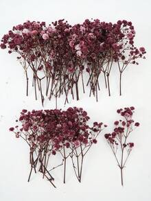 25/50/100/300pcs Luxury Artificial Breathing Flowers, Realistic Long-Lasting Starry Sky Flower Bunches - Perfect For Home, Outdoor, Office, Garden, Wedding, Party, Shop Decor, Also Ideal For Bridal Bouquets, DIY Crafts, Tabletop Decor, Romantic Decorations, Suitable For All Seasons, Can Be Used For Home Decor, Back To School Room Decor And School Supplies. - Reddish Brown - View 7