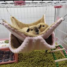 1pc Soft Coral Fleece Dual-Color Anti-Bite Chain Small Pet Double-Layer Warm Hammock, Suitable For Hamsters, Sugar Gliders, Squirrels And Other Small Climbing Pets For Resting And Sleeping, Detachable And Washable, Multiple Colors And Sizes Available, Suitable For Autumn And Winter Seasons. - A - View 5