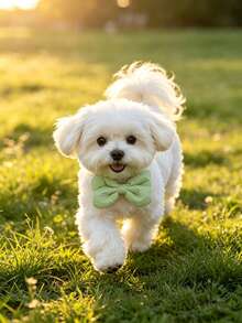 4pcs Macaron Pastel Color Padded Bow Tie Collar Set, 3pcs Earth Tone Neutral Padded Bow Tie Collar Set, Adjustable Pet Neck Band For Cats & Dogs, Cute Variety Pack - Multicolor - View 7