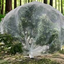 Mosquito Net For Outdoor Balcony Plants, Insect Net For Garden And Orchard, Outdoor Insect Protection Net, Mosquito And Fly Isolation Net For Flower Gardening. - Burgundy - View 11
