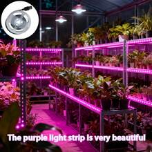 1入 LED 燈條 USB 植物生長燈，智慧燈條，全光譜蔬菜花卉多肉植物補光燈，輔助植物光合作用，USB 供電，使用方便 - 紫色 - 查看 4