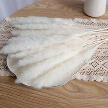 47PCS White Pampas Grass 17in/45cm – Dried Flower Stems For Wedding, Home, Garden, Party, Photography, Vase Decor - 47 PCS - View 6