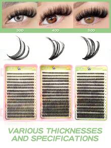World Cup Theme False Eyelashes Fan Party Makeup Lashes 960PCS Reusable, Natural Makeup Effect, 10-16mm Mixed Lash Clusters, Lash Clusters, Individual Lashes, False Eyelashes - D - View 5