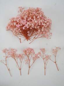 Cherry Blossom Pink