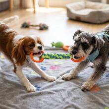 手工编织拔河绳玩具，适合中小型犬，经久耐用，耐啃咬，可清洁牙齿并进行互动训练 - 彩色 - 查看 6