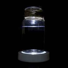 Coasters - Black Shell Colored Lights - View 1