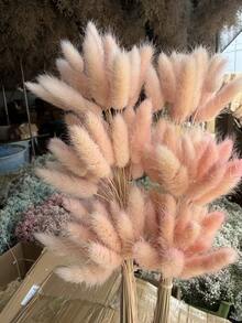 30-240支 44cm 人造兔尾草，仿真兔尾草莖，適用於波希米亞風花藝布置、DIY手工藝、居家廚房與婚禮裝飾、聖誕裝飾、感恩節裝飾、DIY花環裝飾 - 淺粉紅兔尾草4 - 查看 1