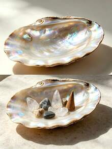 6pcs/Set Pearl Oyster Shell Jewelry Tray, Iridescent Shell Trinket Dish For Rings, Earrings, Necklaces, Home Decor Vanity Organizer - Multicolor - View 7