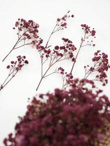 25/50/100/300pcs Luxury Artificial Breathing Flowers, Realistic Long-Lasting Starry Sky Flower Bunches - Perfect For Home, Outdoor, Office, Garden, Wedding, Party, Shop Decor, Also Ideal For Bridal Bouquets, DIY Crafts, Tabletop Decor, Romantic Decorations, Suitable For All Seasons, Can Be Used For Home Decor, Back To School Room Decor And School Supplies. - Reddish Brown - View 5
