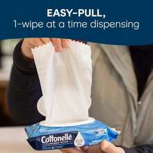 Daily Use Flushable Wet Wipes | Fresh Care Formula, Sealed Bag For Freshness - 1 - 查看 6