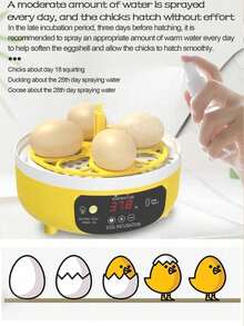 Home Digital Incubator, Can Hatch 4 Eggs, Automatic Egg Turning, Temperature And Humidity Control, Suitable For Hatching Chicken, Duck, Bird And Turtle Eggs, USB Powered - Yellow - View 5