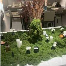 1片人造苔藓地毯，仿真苔藓草皮，适用于桌面装饰、微景观布置、盆栽植物覆盖、家居装饰、婚礼和派对。 - A - 查看 2
