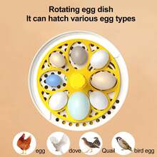 Home Digital Incubator, Can Hatch 4 Eggs, Automatic Egg Turning, Temperature And Humidity Control, Suitable For Hatching Chicken, Duck, Bird And Turtle Eggs, USB Powered - Yellow - View 4