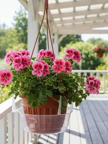 3pcs Plastic Hanging Basket Drip Tray With Hooks, Transparent Round Anti-Leak Plant Water Catching Tray, Multi-Size Hanging Flower Pot Watering Tray, Suitable For Balcony Indoor/Outdoor Garden Planting, Practical Gardening Supplies, Plant Lover Gift, 1pc - Multiple Styles - View 6