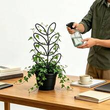 1件綠色植物攀爬訓練架，盆栽藤蔓花卉支撐架，省空間室內/室外園藝 NAYF - A - 查看 4