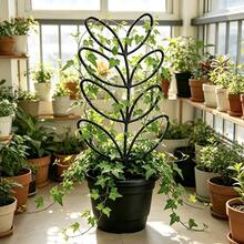 1件綠色植物攀爬訓練架，盆栽藤蔓花卉支撐架，省空間室內/室外園藝 NAYF - A - 查看 8