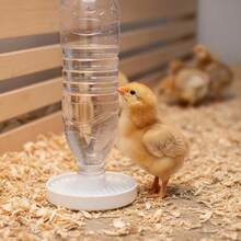 Alat Minum Anti Tenggelam untuk Anak Ayam, Tempat Minum Unggas Otomatis untuk Anak Ayam dan Bebek, Cocok untuk Botol Air Mineral dengan Diameter Mulut Sekitar 2,4 cm, Perlengkapan Penting untuk Kotak Inkubasi Ayam - A - View 4