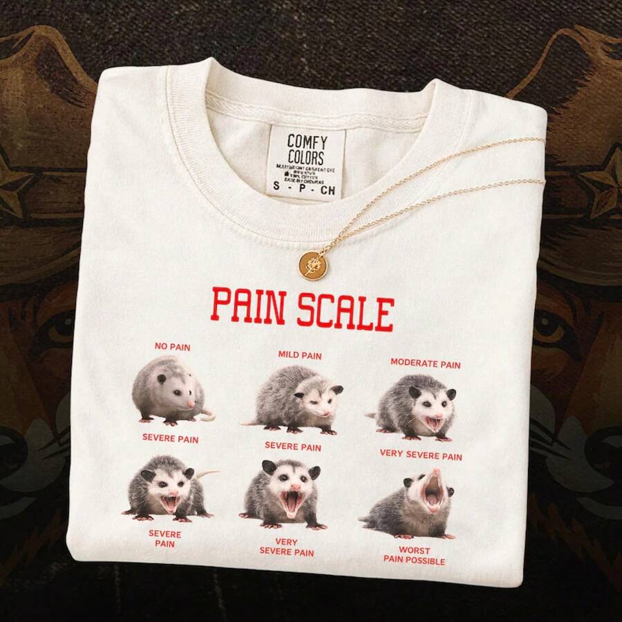 Retro-Fußball-T-Shirt für WM-Fans 2026, lustiges Opossum-Motivshirt, Retro-Gesichts-Shirt, satirisches Tiert-Shirt, verrücktes humorvolles Geschenk - 1 - Übersicht 1
