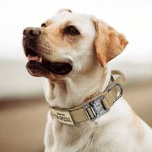 Set di collare e guinzaglio tattico per cani con 2 toppe in , collare tattico da esterno con maniglia, guinzaglio tattico regolabile per addestramento, collare militare per cani, adatto per cani di taglia media e grande - Multicolore - Visualizzare 3