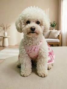 Teddy Bichon Exclusive Pink Bow Princess Dress, Breathable Lightweight Style For Spring And Summer, Cute Must-Have For Outings! - Pink - View 3