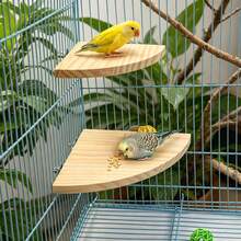 2pcs Bird Perch Platform, Parrot Standing Fan-Shaped Playground Wooden Perch Toy Cage Accessories, Suitable For Parrots, Cockatiels, Budgies, Lovebirds, Sugar Gliders, Rats, Mice, Hamsters Exercise Toys - View 2