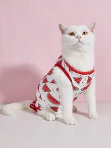 Roupa de Recuperação para Castração/Esterilização de Gatos, Roupa Pós-Cirúrgica para Gatas, Roupa de Desmame, Roupa Macia e Fina de 4 Pernas Anti-Lambedura e Quente para Gatos - Vermelho - Visão 6