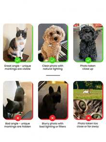 Customized Pet Portrait Bookmark, Personalized Cat And Dog Photo Bookmark, Personalized Dog Memorial Gift, Pet Lover Gift, Unique Gift For Book Lovers And Readers - Multicolor - View 6