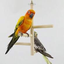 1個木製寵物鸚鵡棲木，鳥籠吊掛鞦韆梯橋，鸚鵡棲息玩具，鳥爪磨爪工具，適用於鸚鵡和小鳥 - 查看 8