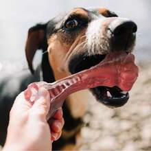 1PC New Dog Interactive Toy Pet Chew Dog Bite Simulation Rubber Toy Teething Rubber Bone Toy - Multicolor - View 8