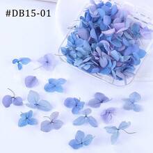 1 Kotak Bunga Hydrangea Kering untuk Kuku, Stiker Kuku, Kerajinan Tangan dalam Kotak, Stiker Bunga Kering Kecil Berwarna-warni, Desain Buatan Tangan DIY, Cocok untuk Dekorasi Liontin dan Mempercantik Benda - A - View 9