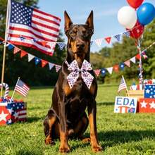 Pet Collar Accessories - US Flag - View 7