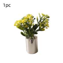 1件 1:12 比例迷你植物盆栽裝飾品，娃娃屋 1:12 比例 OB11 娃娃屋花卉裝飾，汽車儀表板裝飾品，逼真植物裝飾品，娃娃屋裝飾品，微縮場景攝影道具，迷你植物綠植盆栽迷你模型 1:12 比例娃娃屋 OB11 BJD 遊戲場景 - 5款掌葉 - 查看 17