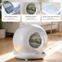 Open-Top Automatic Cat Litter Box, Self Cleaning Litter Box For Multi-Cat Families, APP Control, Safety Protection, 10.5L Large Waste Bin, White, 1 Roll Waste Bag - 美規B型插(110-127V) - 查看 5