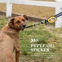 1 pieza Etiqueta de identificación para collar de cachorro, pegatina de identificación para perro, por favor no tocar, pegatina de etiqueta grabada, parche para correa, pegatina de señal social para mascotas, pegatina de advertencia para exteriores para gatos y perros, pegatina de recordatorio de etiqueta para mascotas, pegatina de decoración para correa de perro, prevenir alimentación, pegatina de identificación de género para mascotas - Multicolor - Ver 6