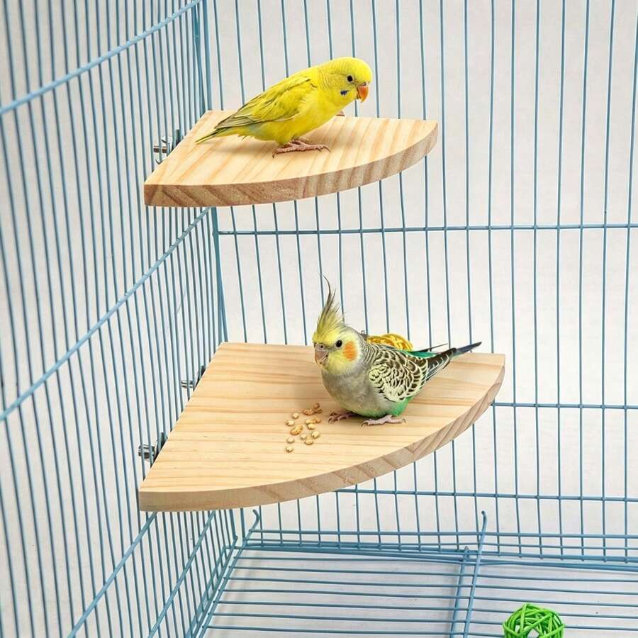 2pcs Bird Perch Platform, Parrot Standing Fan-Shaped Playground Wooden Perch Toy Cage Accessories, Suitable For Parrots, Cockatiels, Budgies, Lovebirds, Sugar Gliders, Rats, Mice, Hamsters Exercise Toys - View 1