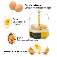 Home Digital Incubator, Can Hatch 4 Eggs, Automatic Egg Turning, Temperature And Humidity Control, Suitable For Hatching Chicken, Duck, Bird And Turtle Eggs, USB Powered - Yellow - View 3