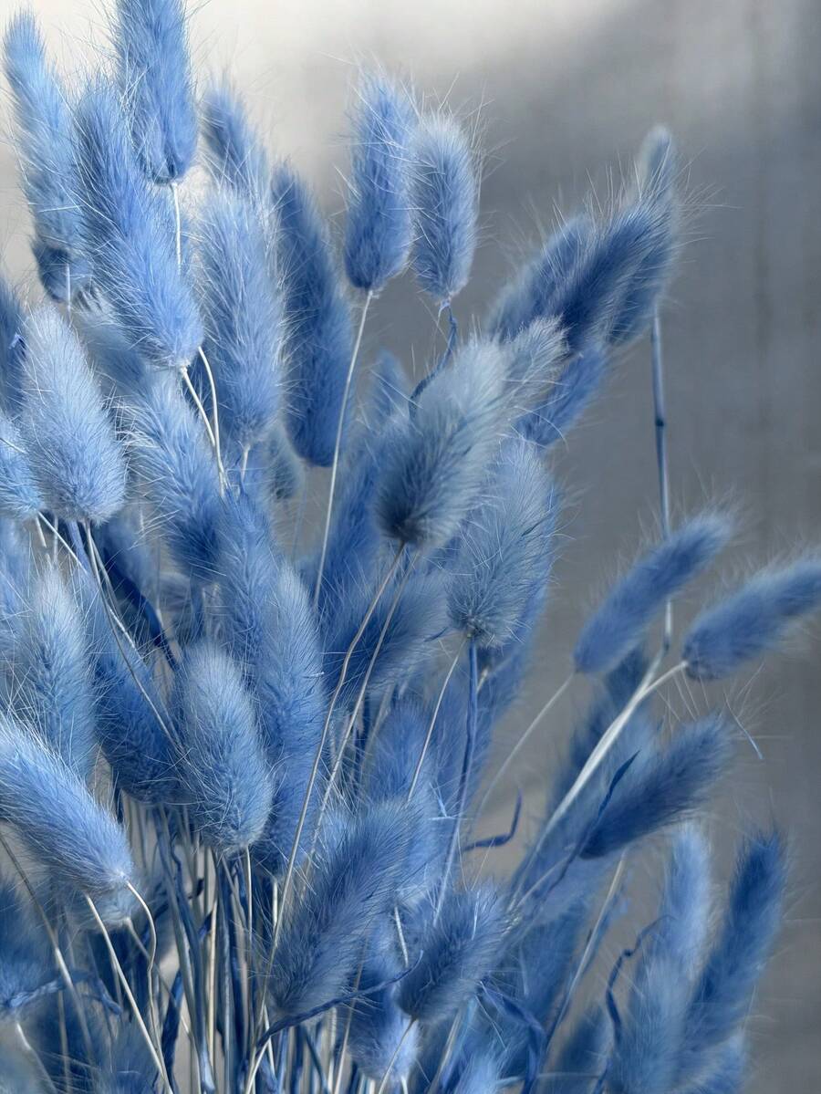 30/60/120/180/240 Pcs 16.5 Inch Artificial Rabbit Tail Grass, Artificial Rabbit Tail Grass Stems For Home Decor, Suitable For Bohemian Style Floral Arrangements, DIY Crafts, Home Kitchen Decor, Wedding Decor, Christmas Decor, Christmas Thanksgiving Decor, DIY Wreath Decor - Light Blue Rabbit Tail Grass - View 1