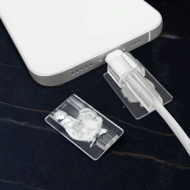 Cable Organizers - 鬥牛犬英文回顧,巴哥犬回顧 - 查看 5