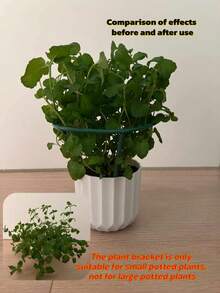 4/8件装花园植物支撑支架，塑料半圆形笼式花盆，攀爬架，牡丹花架 - 綠色 - 查看 3