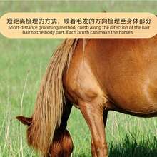 2件組鋁製馬梳套裝，輕量、耐腐蝕、防靜電，適用於鬃毛梳理、解結、編髮、打薄與美容護理 - 銀色 - 查看 10