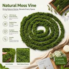 Tifaealis 5m Artificial Vine Garland – Realistic Faux Greenery For Vertical Wall Decor, DIY Home Decoration, Party & Event Styling - 綠色 - 查看 12