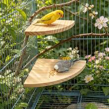 2pcs Bird Perch Platform, Parrot Standing Fan-Shaped Playground Wooden Perch Toy Cage Accessories, Suitable For Parrots, Cockatiels, Budgies, Lovebirds, Sugar Gliders, Rats, Mice, Hamsters Exercise Toys - View 8