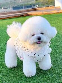 1pc Dog Clothes Spring/Summer Thin Princess Dress, Polka Dot Strap Dress, Korean Style Minimalist Cat Clothes Anti-Shedding Dog Bichon Teddy Small Breed, Pet Teddy Bichon Yorkie, Cool Vest, Cat Anti-Shedding Dress, Pet Dog Summer Vest Clothes, Pet Cat Summer Princess Dress, Kitten Striped Summer New Spring/Autumn Dress Anti-Shedding - White - View 6